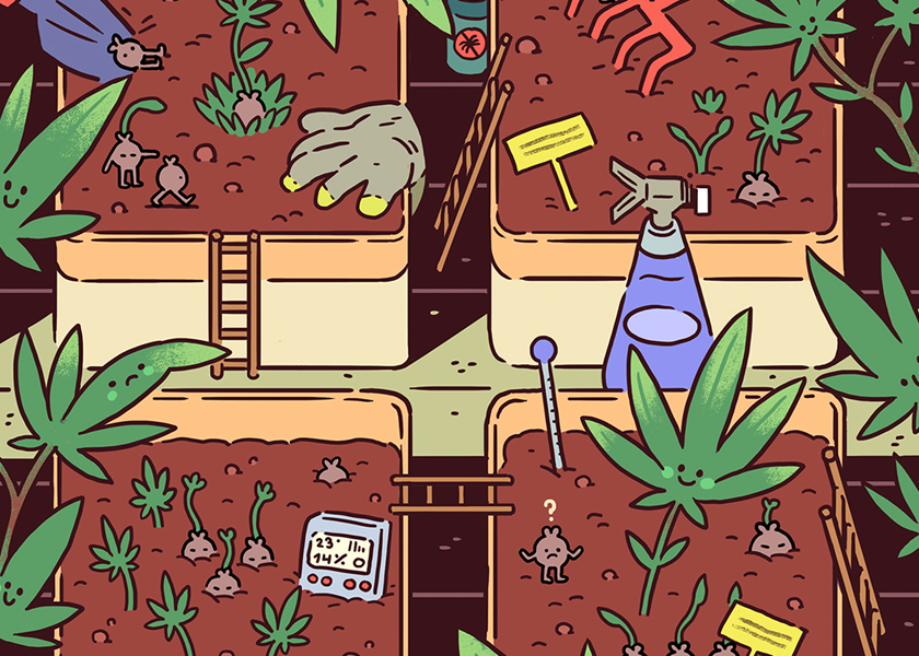 QR -Code aktivierte CBD -Beutel