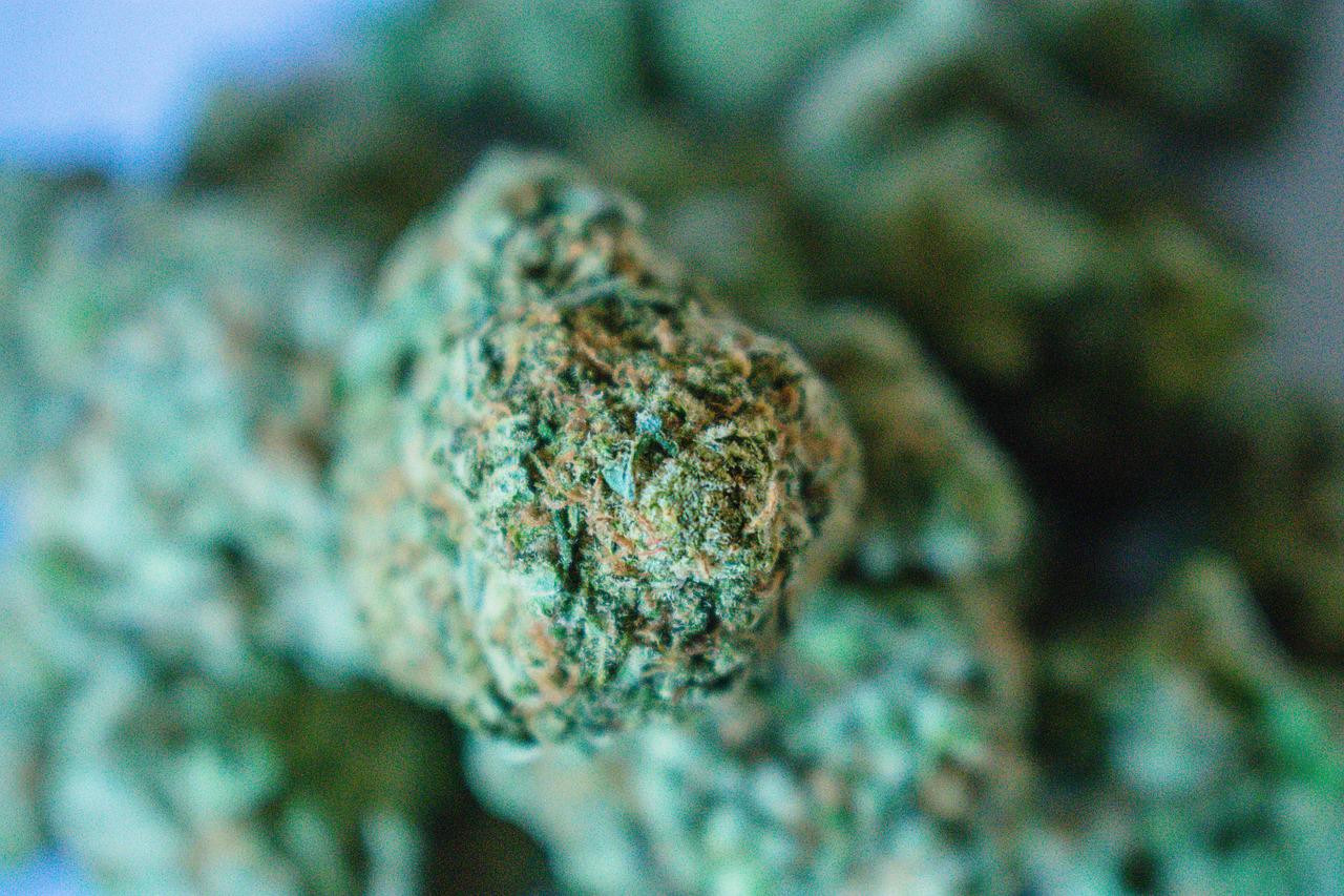 Wie man Unkraut in Dispensary -Taschen frisch hält