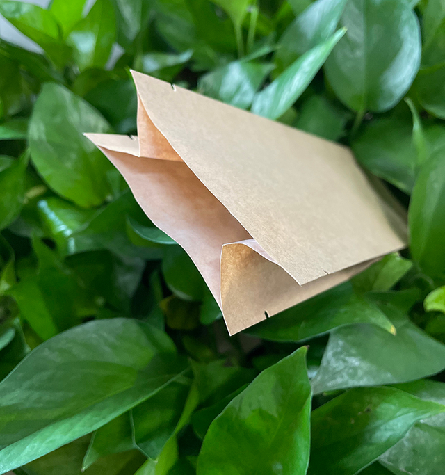 Individuell bedruckte Rückseite, versiegelt mit Seitenfaltenbeutel für Brot, Kuchen, Snacks, Chips, Lebensmittelverpackung mit Griff