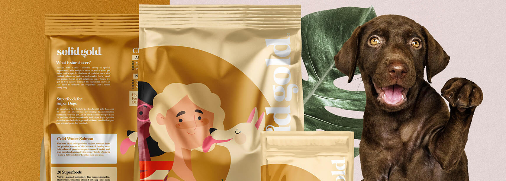 Benutzerdefinierte gedruckte Reißverpackung